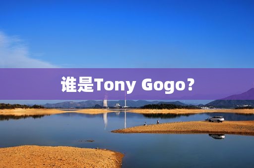 谁是Tony Gogo？